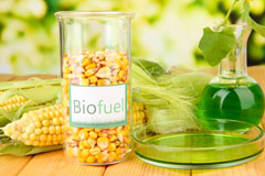 Tannadice biofuel availability