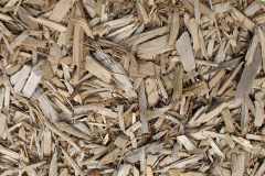 biomass boilers Tannadice